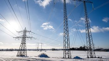 Bild: Johan Nilsson / TT