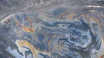 Oljeutsläpp utanför Göteborg. Foto: Kustbevakningen/TT (arkivbild)