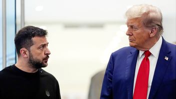 Under fredagen möts Zelenskyj och Trump för att teckna avtal om Ukrainas mineralresurser. Foto: Julia Demaree Nikhinson/AP/TT