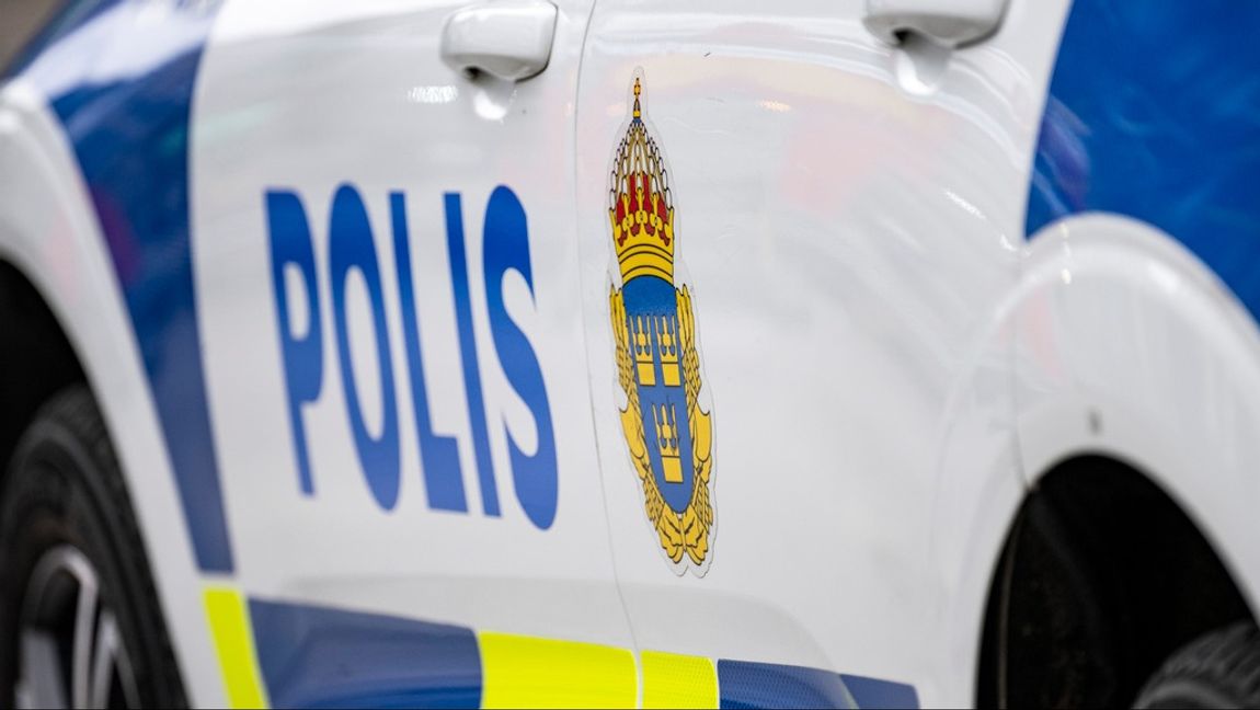 En förbipasserande larmade polisen efter att ha hört kvinnan ropa efter hjälp. Arkivbild. Foto: JOHAN NILSSON/TT