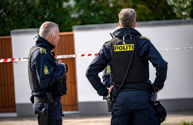 De senaste två åren har 28 svenskar rest till Danmark för att begå grova brott. Arkivbild. Foto: Johan Nilsson/TT