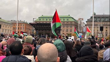 Högljudda vänsteraktivister har samlats på helger sedan Hamas terrorattack för att visa stöd för Hamas och motstånd mot Israel. Foto: Bulletin