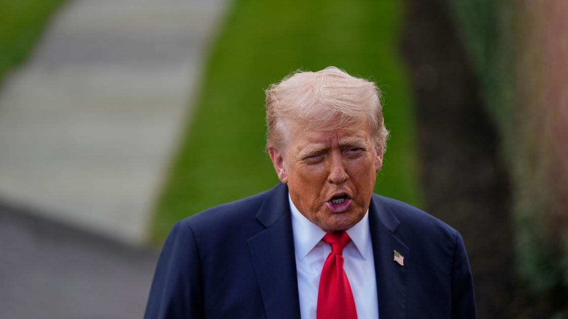 USA:s president Donald Trump kräver att Nato-länderna slutar köpa rysk olja innan USA inför sanktioner mot Ryssland. Foto: Julia Demaree Nikhinson/AP/TT