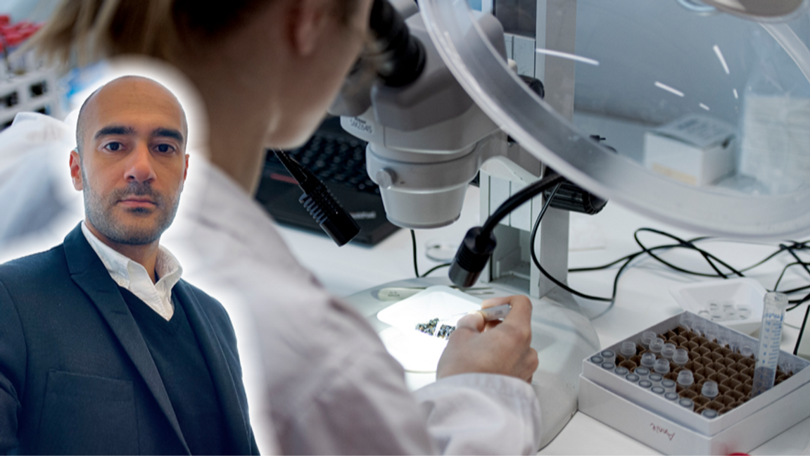 Forskning och utveckling (FoU) i all ära, men Sverige har mer grundläggande problem. Foto: Tim Aro/TT