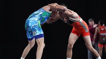 Sunt att också kunna brottas med kroppen och inte bara med tanken/ Foto: WikiCommons Public Domain