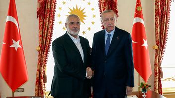 Ismail Haniyeh och Recep Tayyip Erdoğan under lördagens möte i Istanbul. Foto: Turkiets president/AP/TT