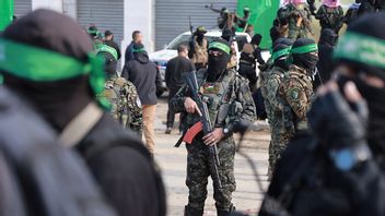 Hamasterrorister i Gaza. Foto: Abed Hajjar/AP/TT