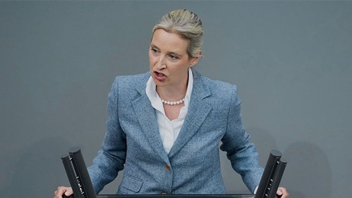 AfD:s partiledare  Alice Weidel talar i Tysklands federala parlament. Bild: AP Photo/Ebrahim Noroozi