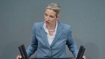 AfD:s partiledare  Alice Weidel talar i Tysklands federala parlament. Bild: AP Photo/Ebrahim Noroozi