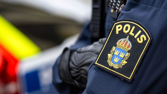 Foto: Johan Nilsson/TT