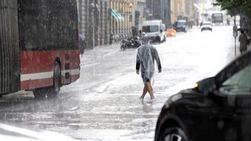 Genrebild. Foto: Henrik Montgomery/TT.