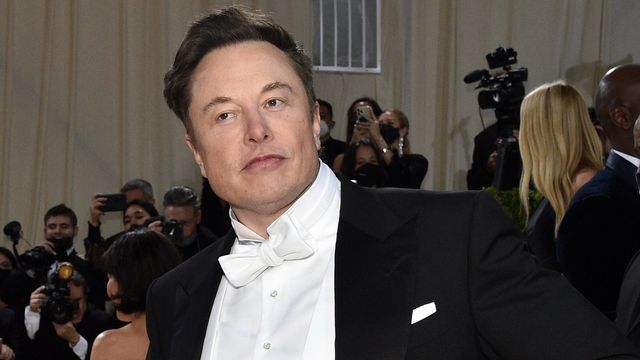 Elon Musk under Metgalan. Foto: Evan Agostini/AP/TT