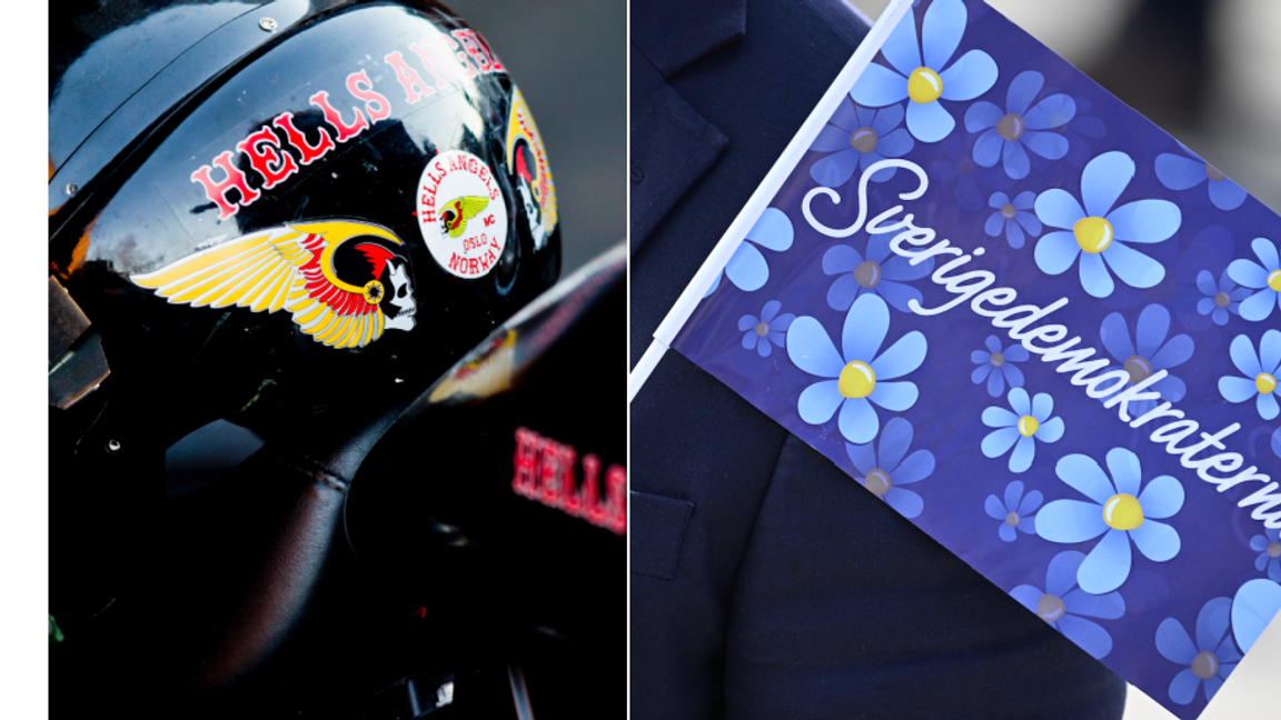 Två SD-politiker avgår efter Expressens granskning om deras kopplingar till kriminella mc-miljöer. Foto: Vegard Wivestad Grøtt/Johan Nilsson/NTB/TT