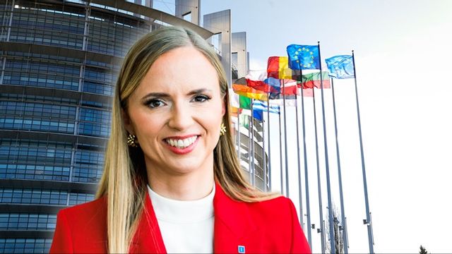 Sara Skyttedal blir en välbetald vilde i EU-parlamentet. Bilden är ett montage. Foto: Christine Olsson/TT/EU