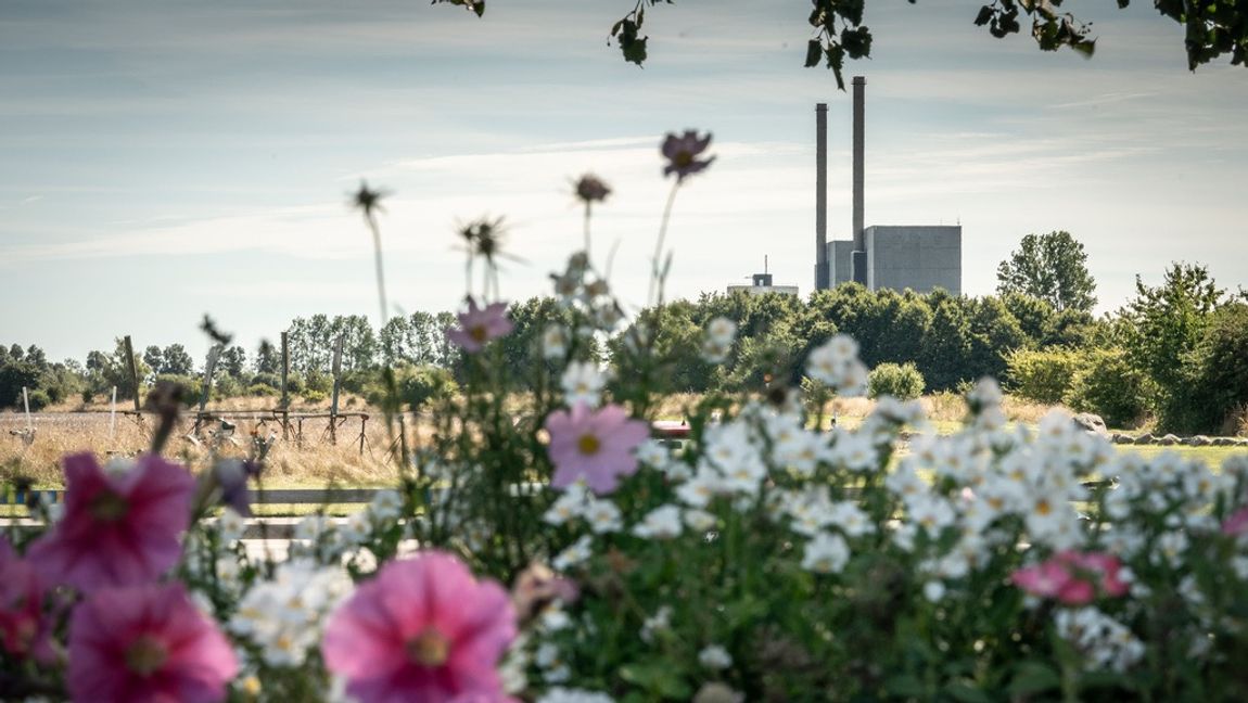 Kärnkraften tycks ha börjat blomstra igen efter åtta år i ide. Ett regeringsskifte var det som krävdes för att marknaden skulle återfå förtroende för långsiktiga investeringar. Foto: Mads Claus Rasmussen/TT