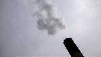 Karlshamnsverket åter redo som svensk kraftreserv. Bild: Johan Nilsson/TT