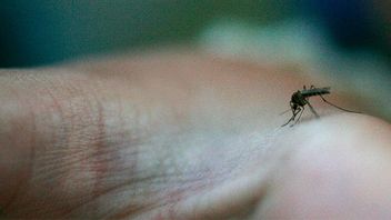 Bild: Sara Johannessen Meek / NTB