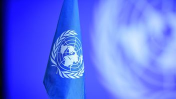 FN-flagga. Foto: Tim Aro / TT