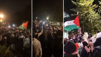 En anmälan om brott mot ordningslagen har upprättats efter en pro-palestinsk demonstration i Helsingborg under tisdagskvällen. Bild: Snapchat 