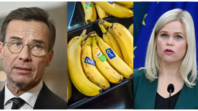 Statsminister Ulf Kristersson (M) försvarar jämställdhetsminister Paulina Brandberg (L) efter uppståndelsen kring hennes bananfobi. Bilden är ett montage. Foto: Henrik Montgomery/Jakob Åkersten Brodén/TT/Pexels
