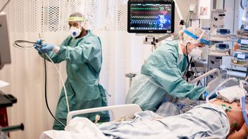 Patient på IVA-avdelning. Arkivbild. Foto: Björn Larsson Rosvall/TT