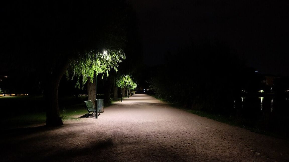 Pildammsparken i Malmö, där den påstådda våldtäkten sades äga rum. Foto: Johan Jönsson (Julle), CC BY-SA 4.0, via Wikimedia Commons