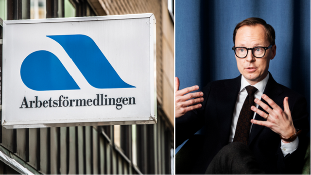 Det ska bli svårare att begå bidragsbrott, enligt arbetsmarknadminister Mats Persson (L). Foto: Lars Pehrson/Ida Persson/SvD/TT