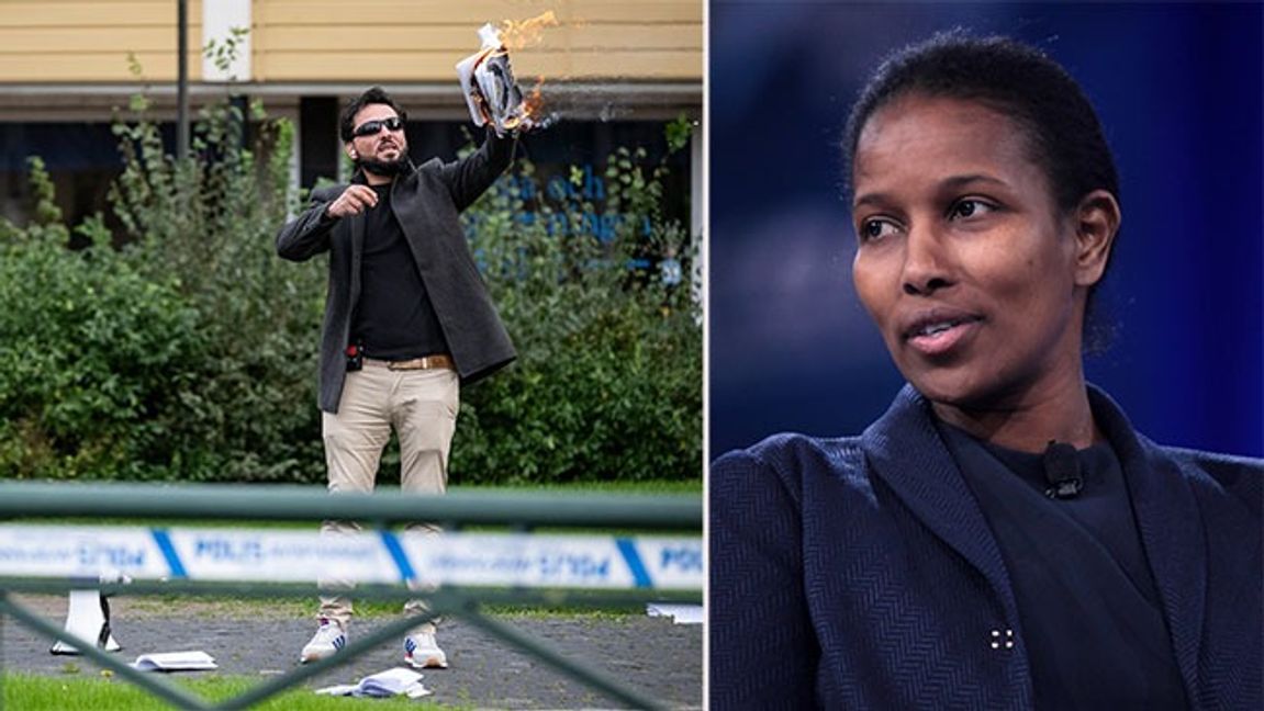 Bild: Johan Nilsson/TT/Gage Skidmore/CC BY-SA 3.0