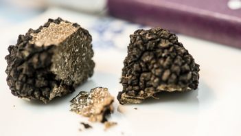 Foto: Leif R Jansson / TT