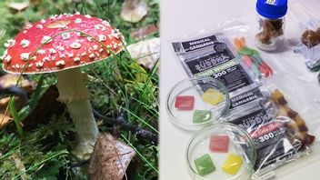 Foto: Petra Lindell/TT och Gorm Kallestad/NTB/TT