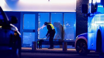 Polis med hund söker på platsen efter mordet. Foto: Christine Olsson/TT