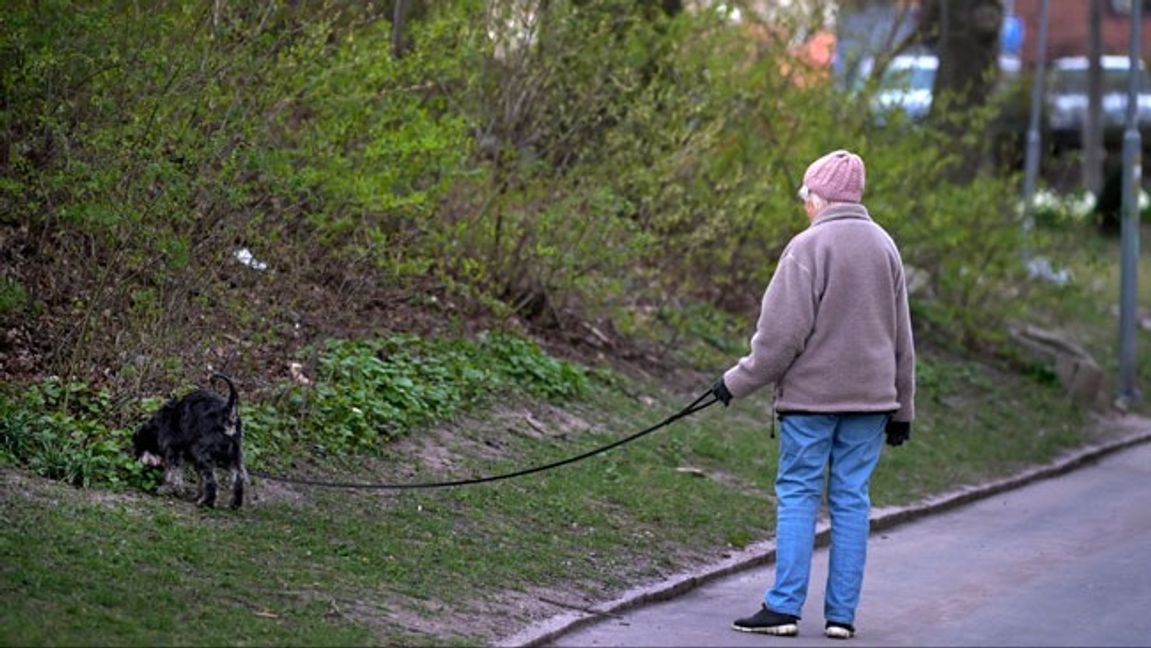 Genrebild. Foto: Janerik Henriksson/TT.