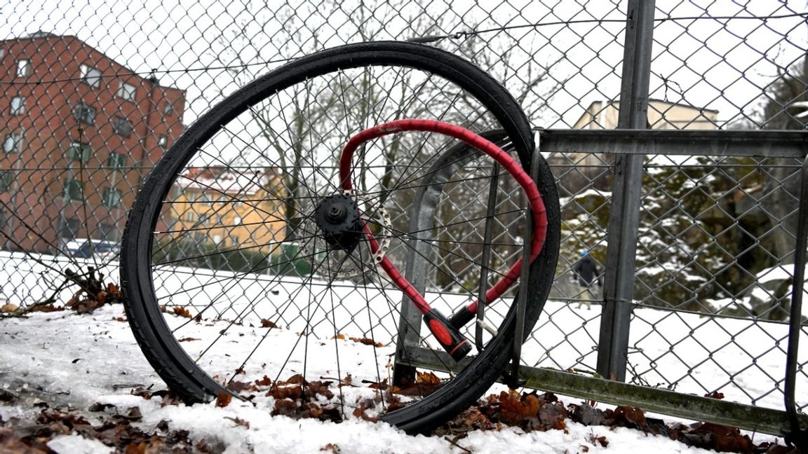 Tre polska cykeltjuvar dömdes till fängelse för stöld, en man utvisades till Polen. Foto: Janerik Henriksson/TT