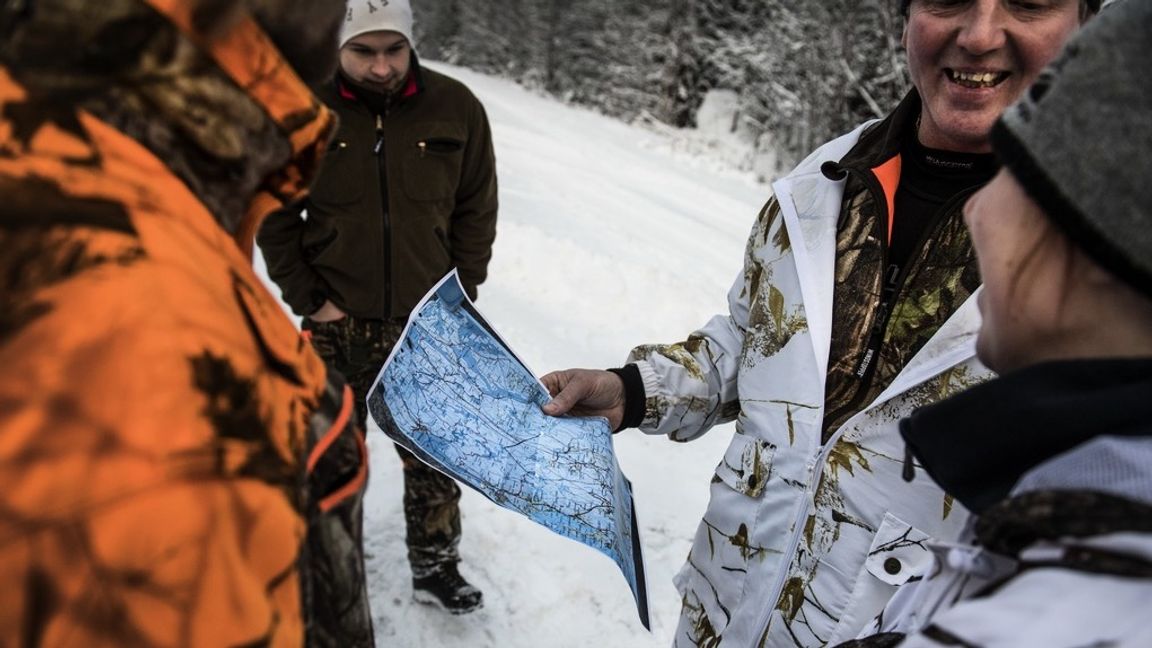 I år kommer jakten att bli ovanligt stor. Det finns stora förhoppningar om att den nya regeringen kommer att låta jakten förbli stor. Foto: Markus Ericsson/TT 