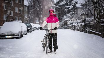 Nu med kollektivavtal.
Foto: Gustaf Månsson/SvD/TT.