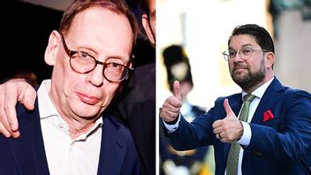 Oísin Cantwell varnar för SD och Jimmie Åkesson. Foto: TT
