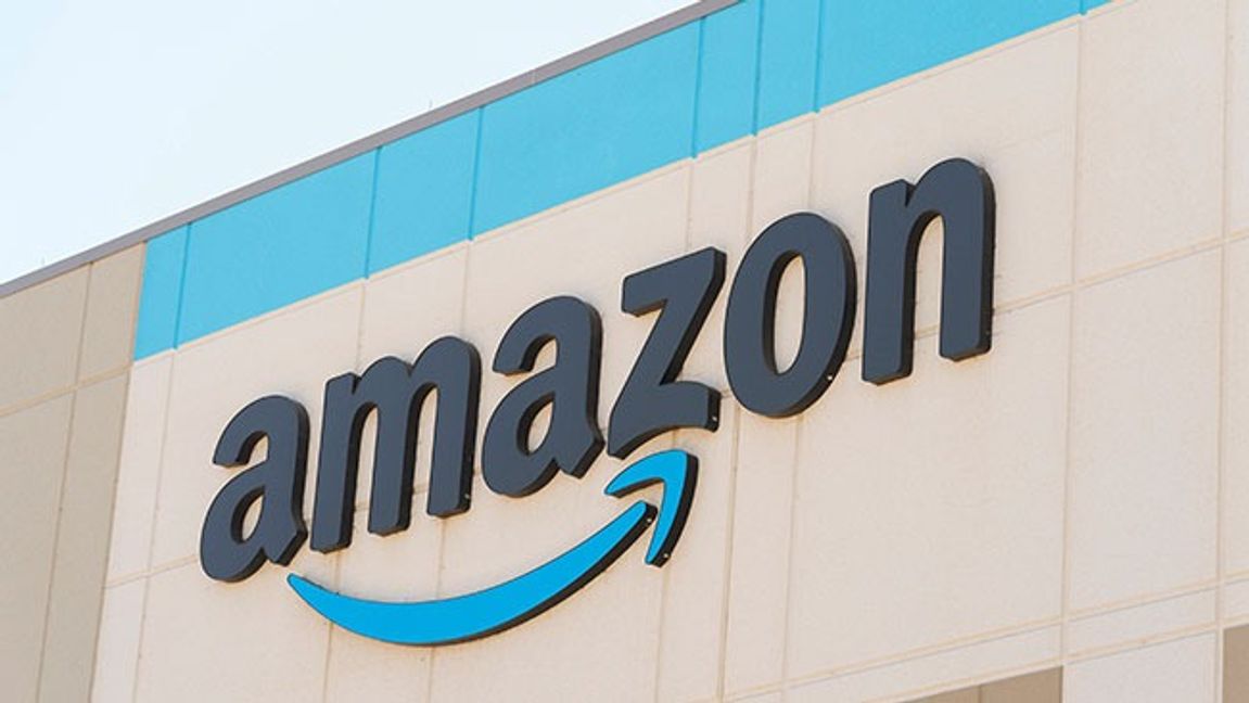 Bild: AP Photo/Damian Dovarganes