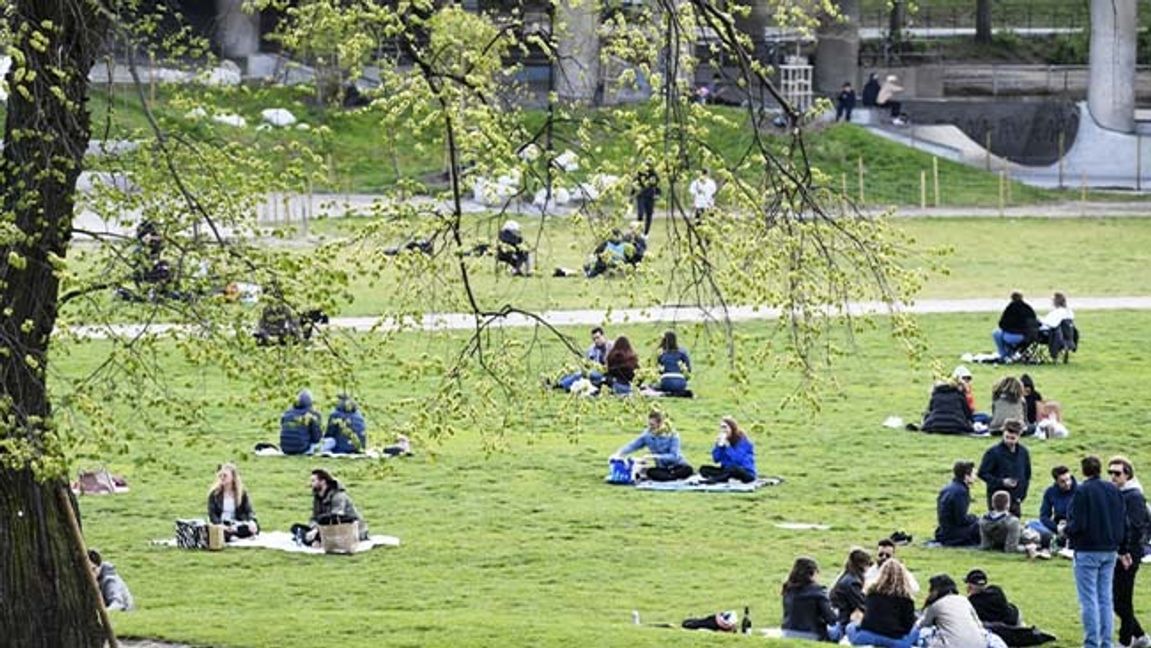 Att ha nära tillgång till ett grönområde är viktigt för hälsan. Arkivbild. Foto: Henrik Montgomery/TT