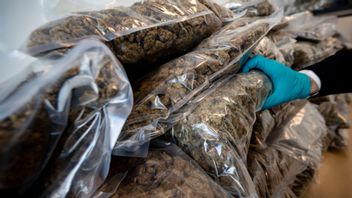 42 personer gripna i stor razzia i Europa när krypterad meddelandetjänst knäcktes. Foto: Johan Nilsson/TT 