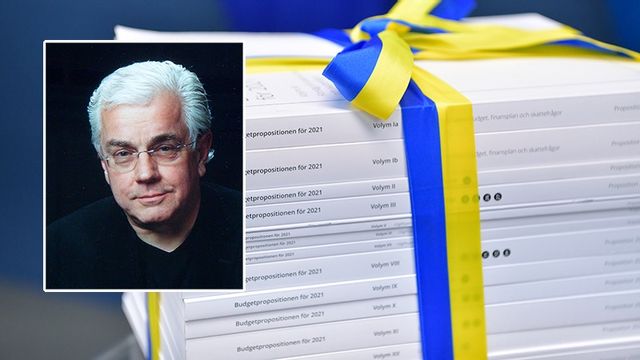 Dagens debattör Magnus Lagerkvist vill halvera antalet myndigheter. Foto: Zhang Guangjuan / Jessica Gow/TT