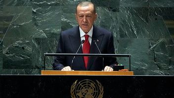 Turkiets president Recep Tayyip Erdogan vid FN:s generalförsamling. Foto: Richard Drew/AP/TT