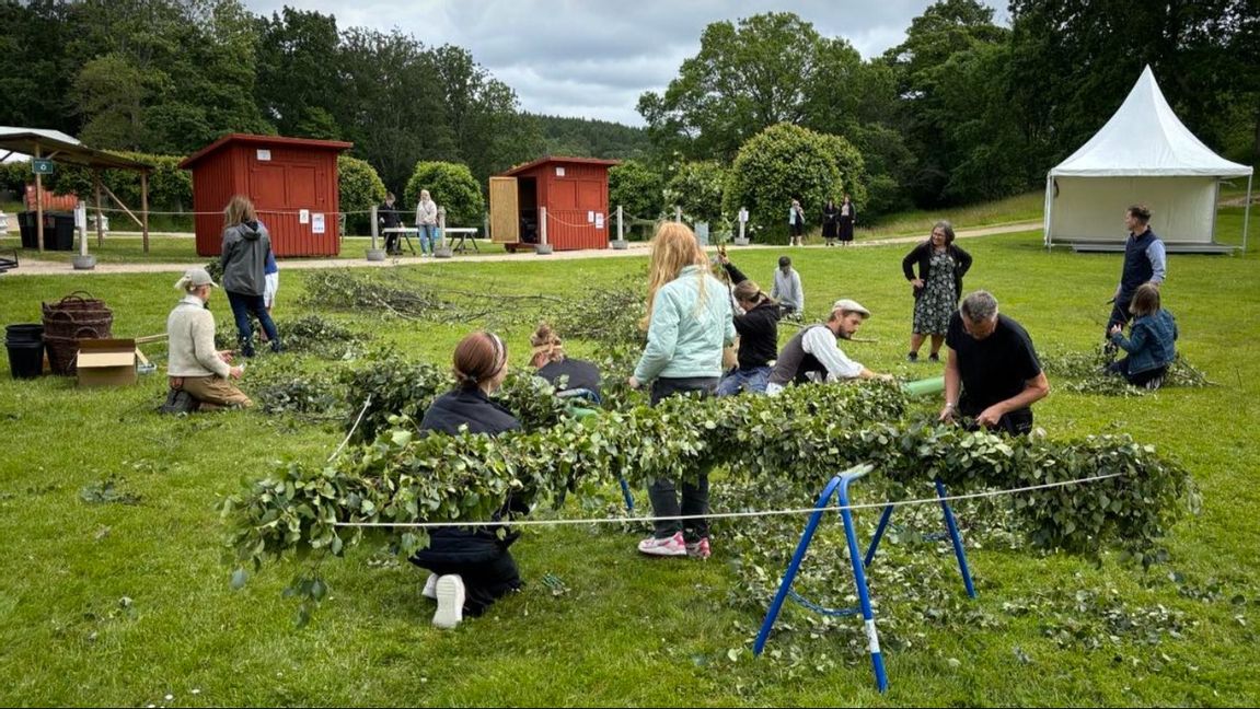 Majstången kläs inför midsommar i Mölndal Foto: Dan Korn