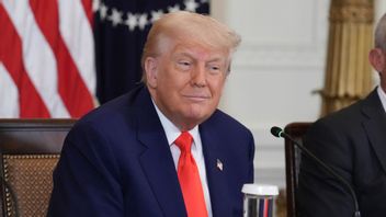 USA:s president Donald Trump. Foto: Jacquelyn Martin/AP/TT