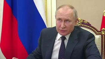 Genom att beslagta utländska flygplan försöker ryske presidenten Vladimir Putin gå runt sanktionerna mot landet. Foto: Kreml