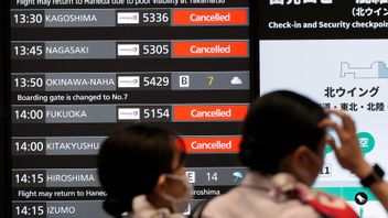 Genrebild. Flygbolag ställer in rutter till Japan efter minskad efterfrågan. Foto: Eugene Hoshiko/AP/TT