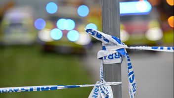 Arkivbild. Foto: Johan Nilsson/TT