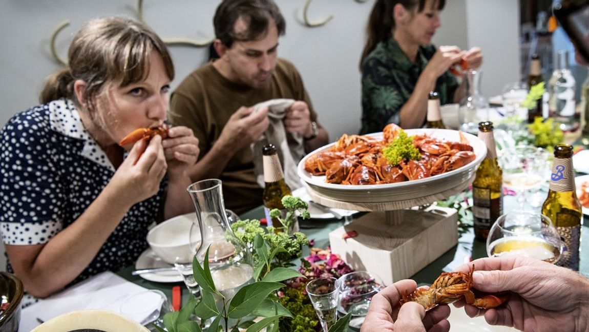 Svenska kräftor kommer att få säljas även i framtiden, så länge de håller sig under gränsvärdena för gifter. Foto: Malin Hoelstad/TT