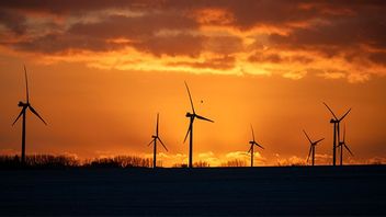 Bild: Johan Nilsson / TT