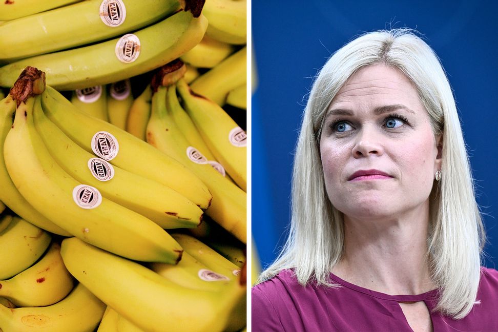 Jämställdhets- och arbetslivsminister Paulina Brandberg (L) har fått uppmärksamhet den senaste veckan för sin bananfobi. Arkivbilder. Claudio Bresciani/TT
