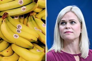 Jämställdhets- och arbetslivsminister Paulina Brandberg (L) har fått uppmärksamhet den senaste veckan för sin bananfobi. Arkivbilder. Claudio Bresciani/TT